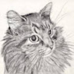 Meet your Posher, Max